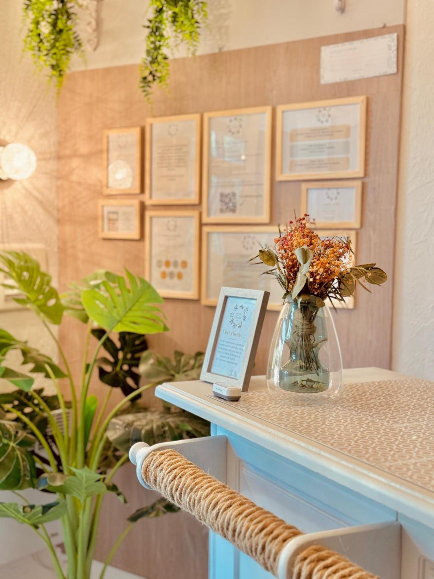 Hotel Le Nid Argeles-sur-Mer Ngoại thất bức ảnh