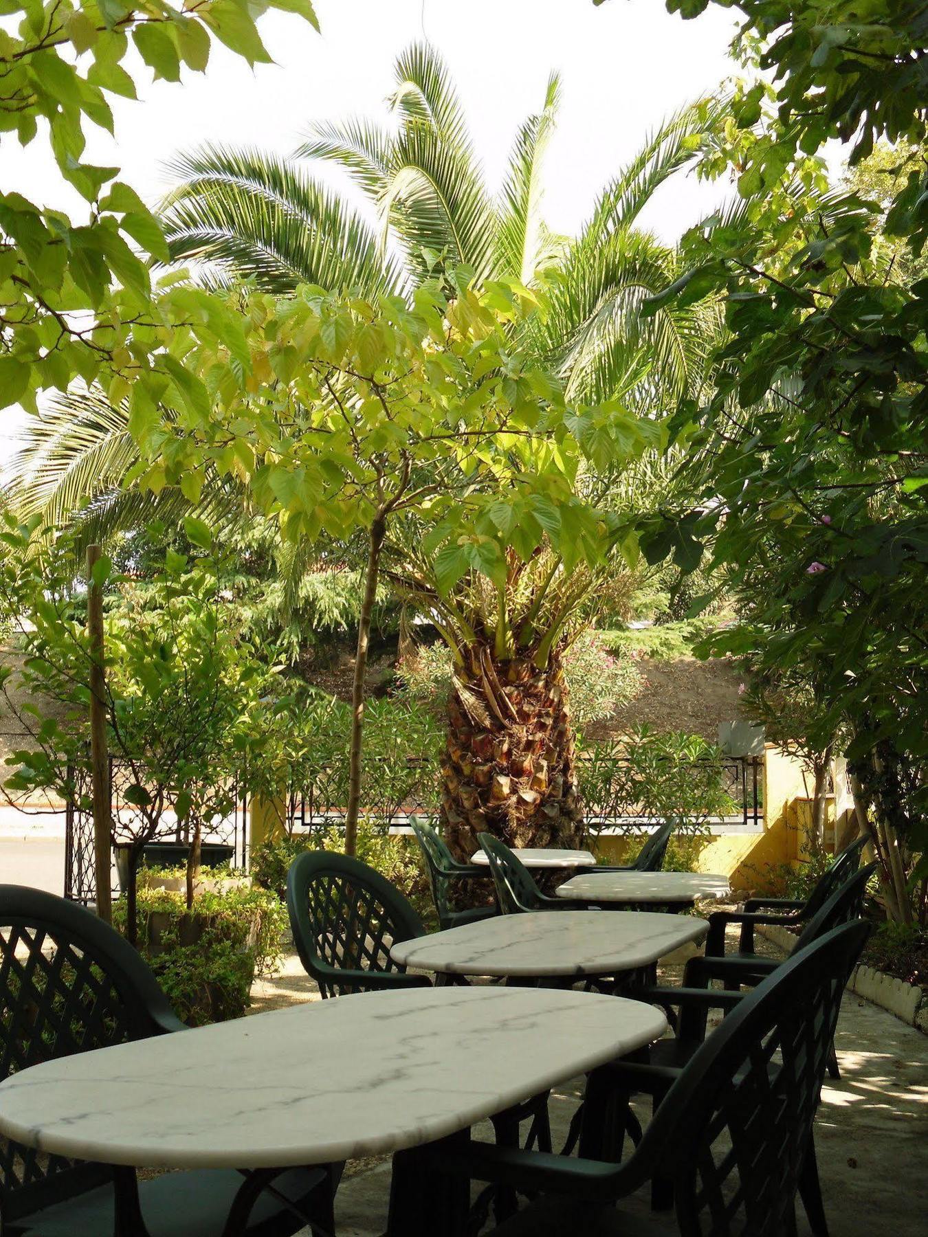 Hotel Le Nid Argeles-sur-Mer Ngoại thất bức ảnh